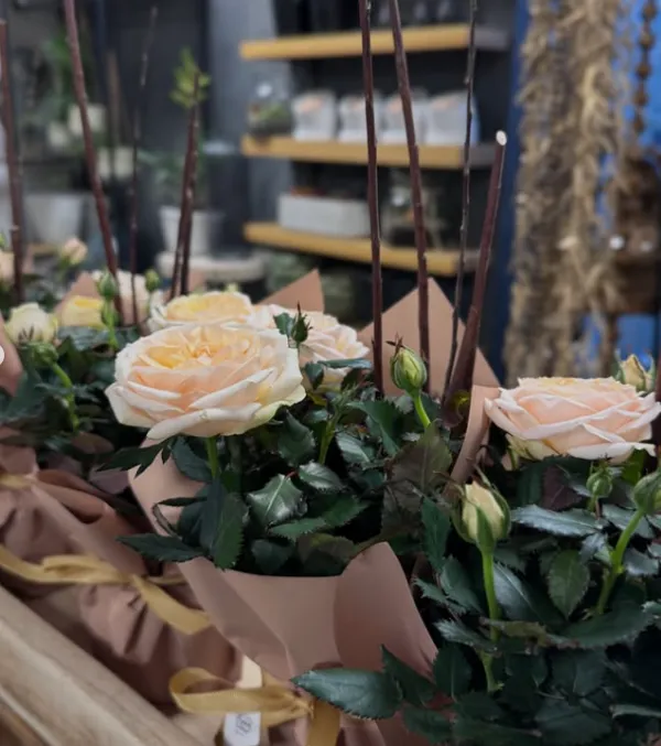 Kompozycja Dzienna - świeże kwiaty dostępne dziś w KwiatON